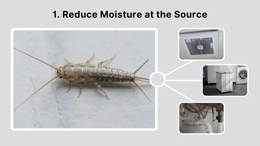 1. Reduce Moisture at the Source