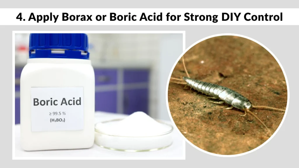 4. Apply Borax or Boric Acid for Strong DIY Control