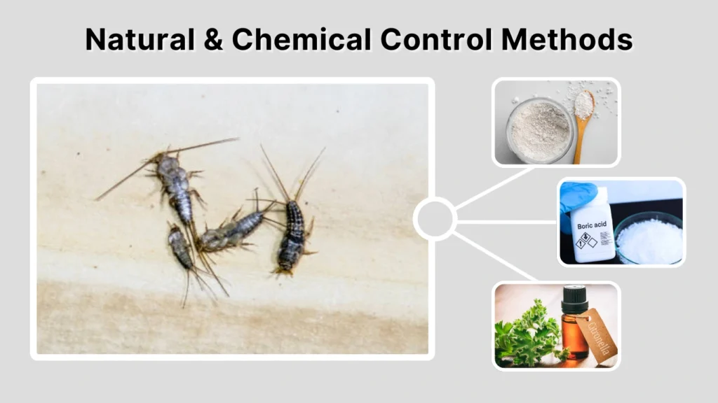 Natural & Chemical Control Methods
