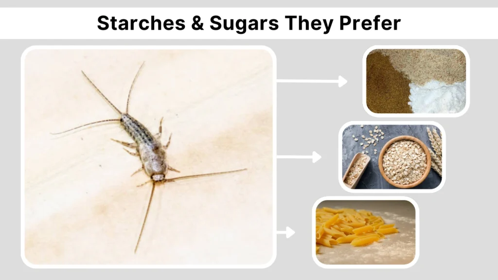 Starches & Sugars They Prefer