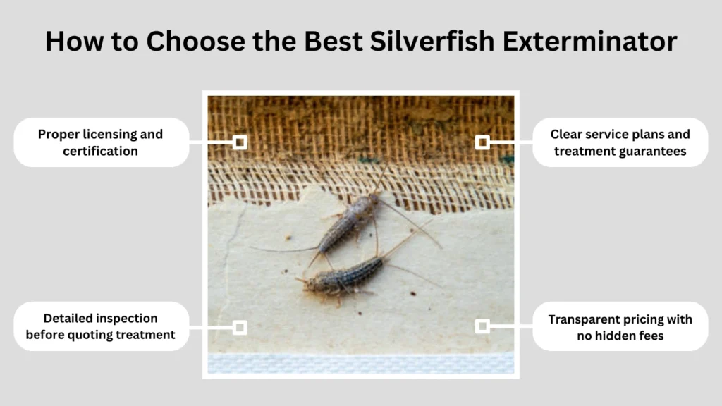 How to Choose the Best Silverfish Exterminator