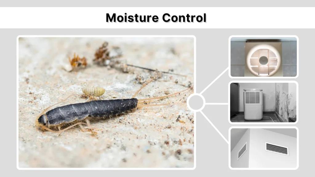 Moisture Control