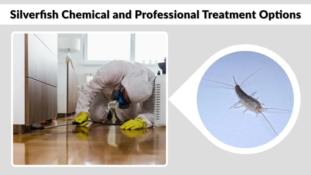 Silverfish Chemical and Professional Treatment Options