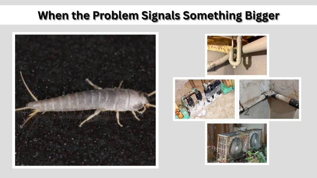 When the Problem Signals Something Bigger