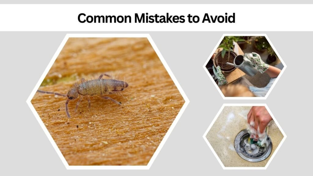 Common Mistakes to Avoid