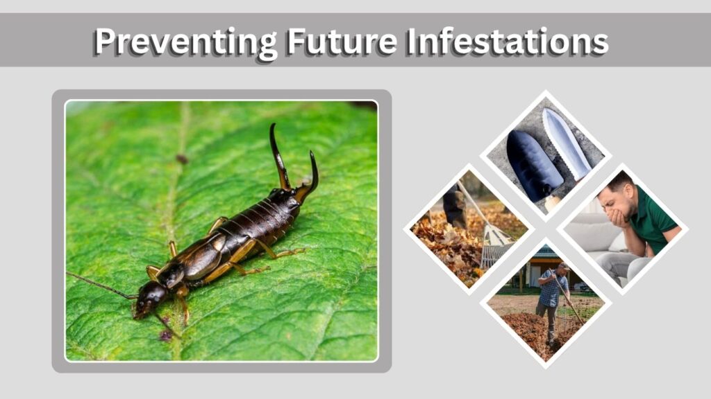Preventing Future Infestations
