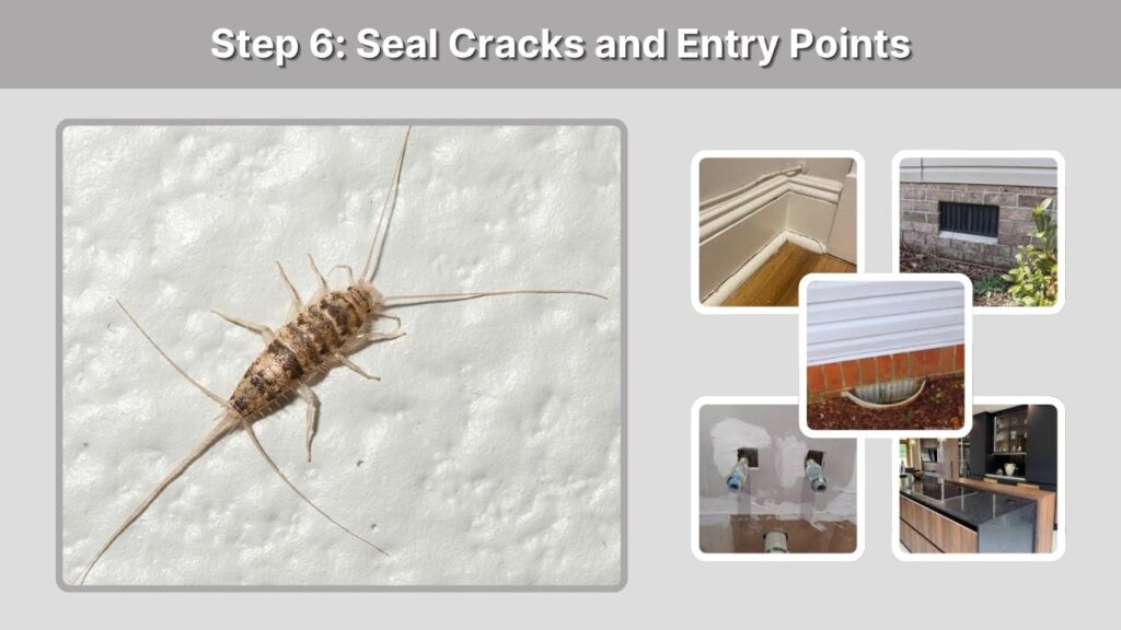 Step 6: Seal Cracks and Entry Points
