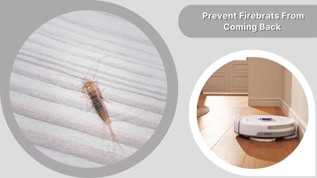 Step 10: Prevent Firebrats From Coming Back