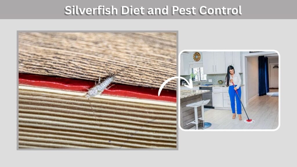 Silverfish Diet and Pest Control