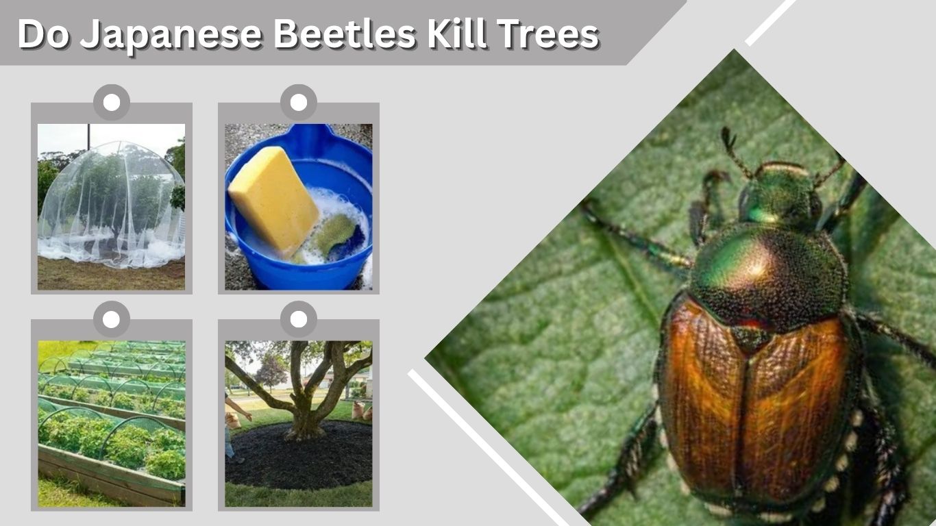 Do Japanese Beetles Kill Trees? Damage, Treatment, and Prevention