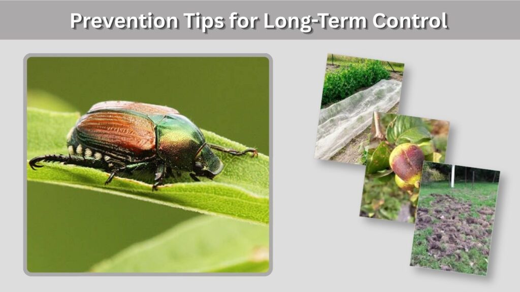 Prevention Tips for Long-Term Control