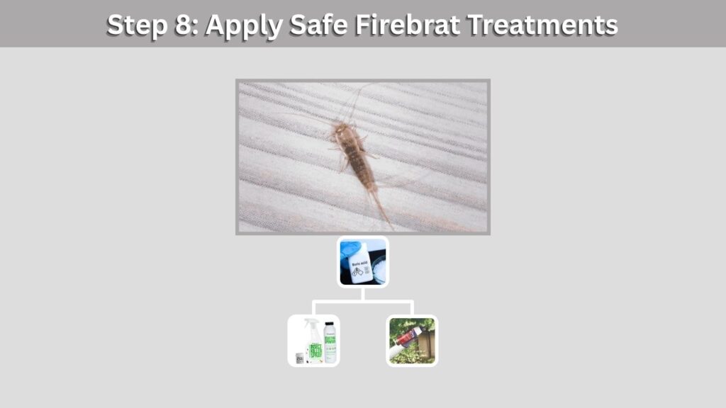 Step 8: Apply Safe Firebrat Treatments