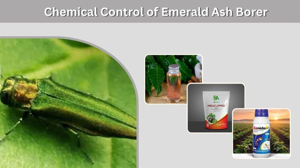 Chemical Control of Emerald Ash Borer