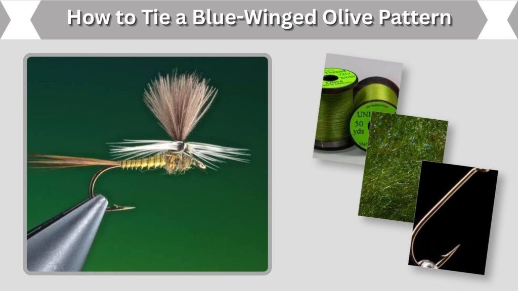 How to Tie a Blue-Winged Olive Pattern