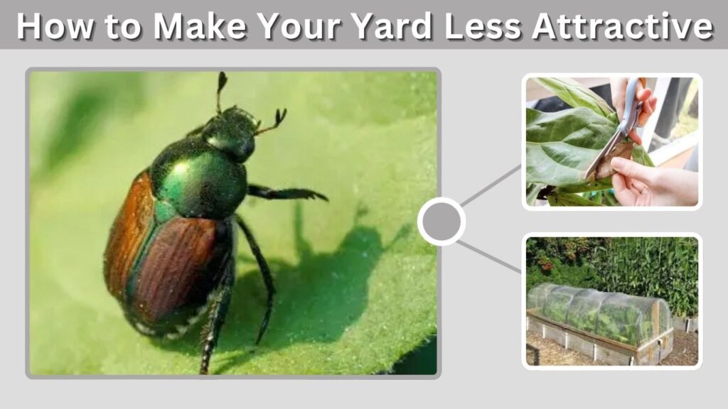 How to Make Your Yard Less Attractive