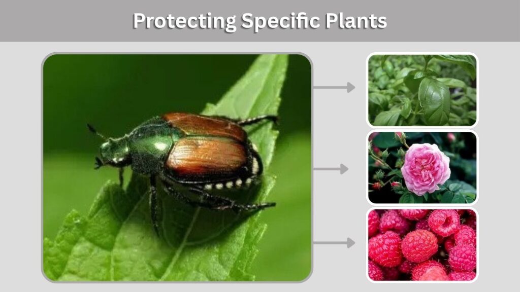 Protecting Specific Plants