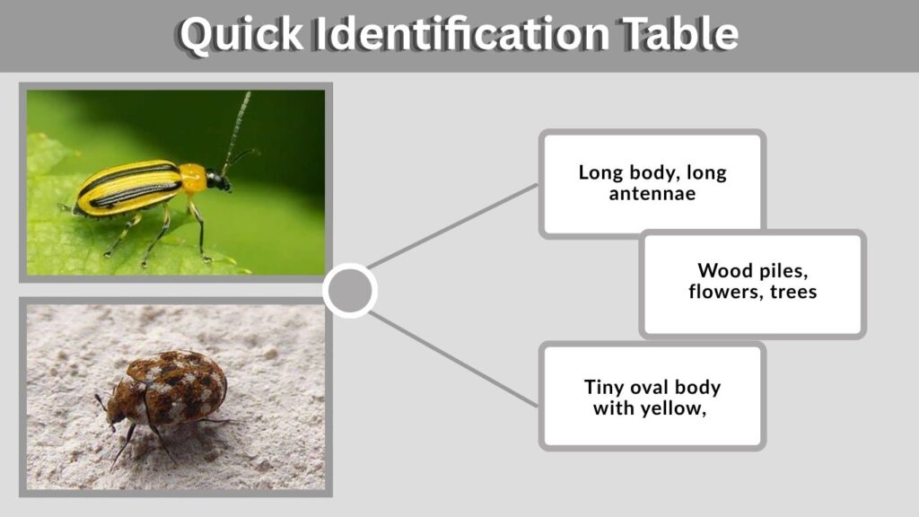 Quick Identification Table