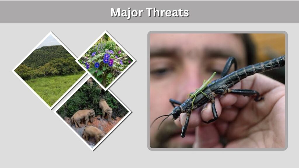 Major Threats