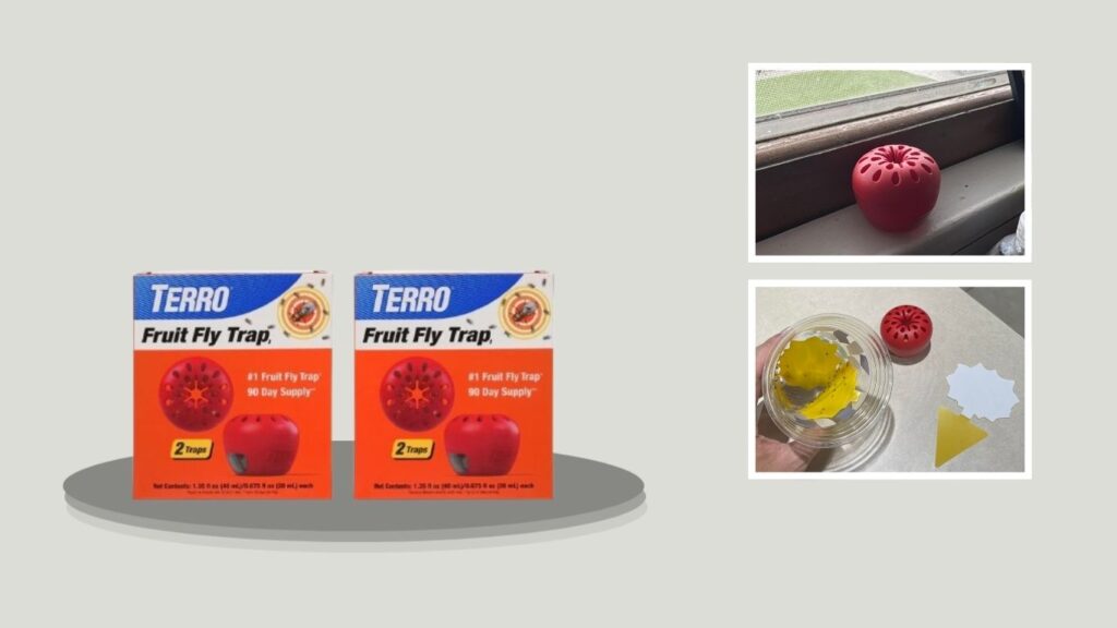 TERRO Fruit Fly Trap — Best for Targeted Kitchen Placement