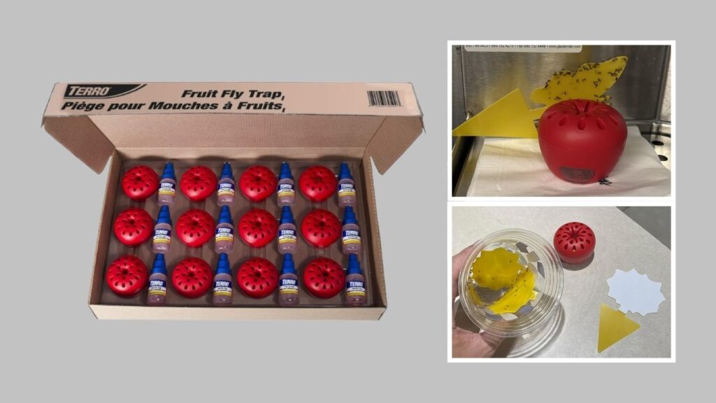 1. TERRO Indoor Fruit Fly Traps — Best for Multiple Problem Areas
