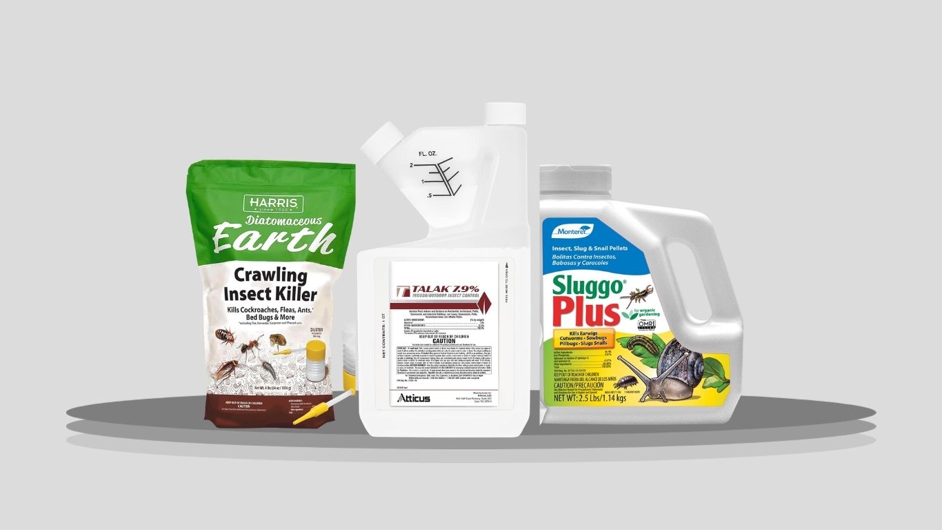 7 Best Earwig Insect Killers for Indoor and Outdoor Control