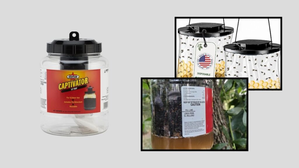 Starbar Captivator Reusable Outdoor Fly Trap