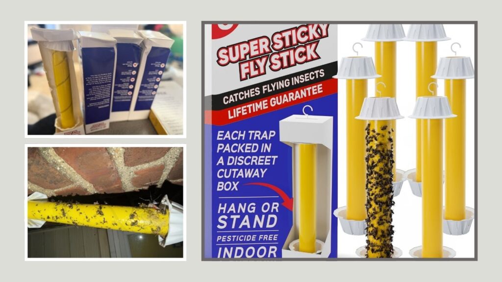 Non-Toxic Sticky Fly Traps for Indoor & Outdoor Use