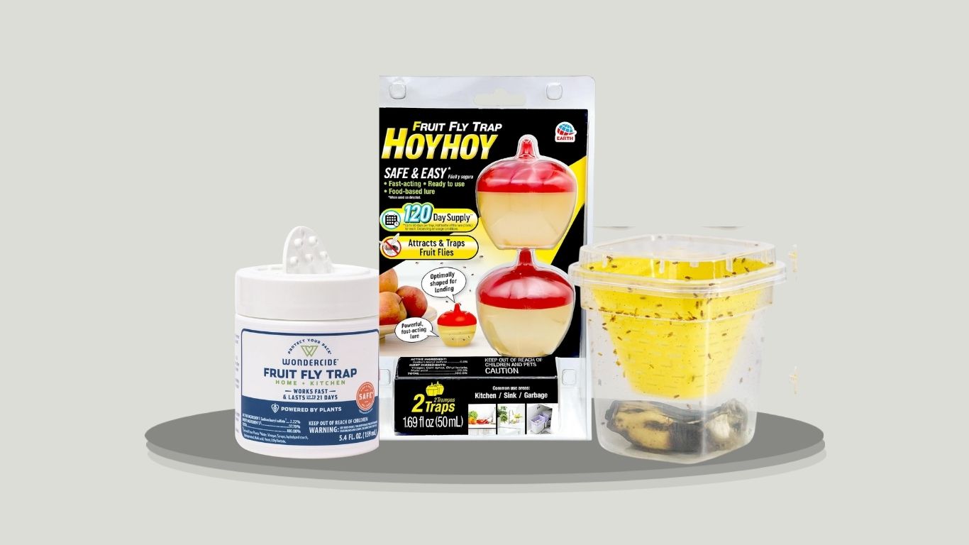 10 Best DIY Fruit Fly Traps for Kitchens & Indoor Use