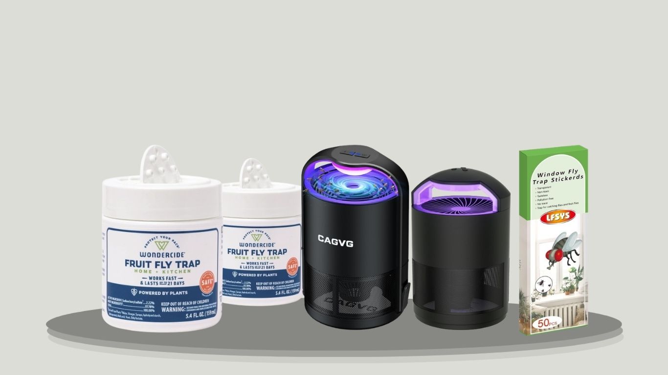 10 Best Fruit Fly Traps for Kitchens and Indoor Spaces
