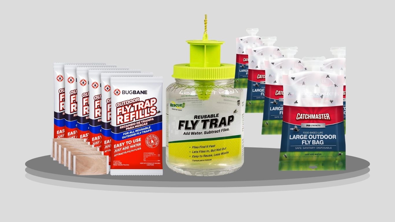 9 Best Fly Bait for Indoor & Outdoor Fly Control