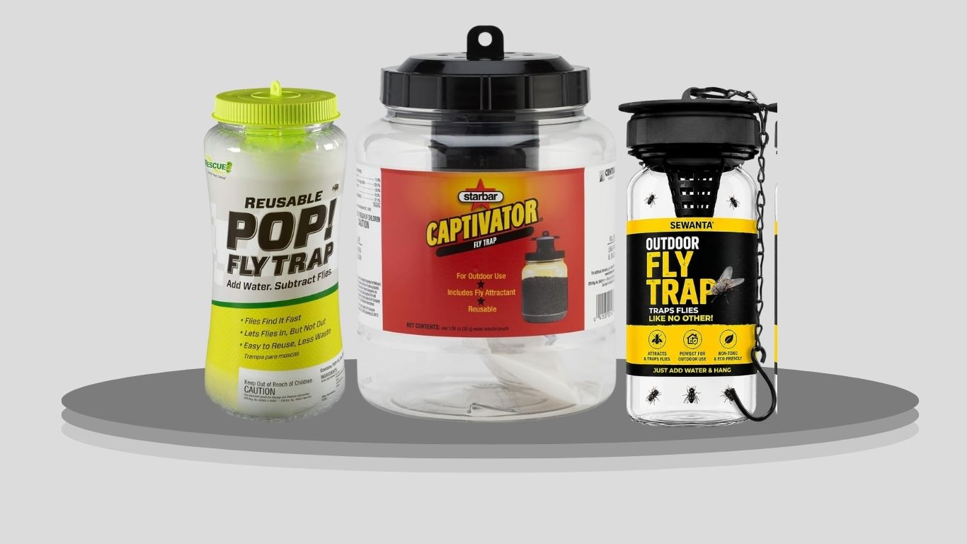 11 Best Outdoor Fly Traps for Yards, Patios, and Farms