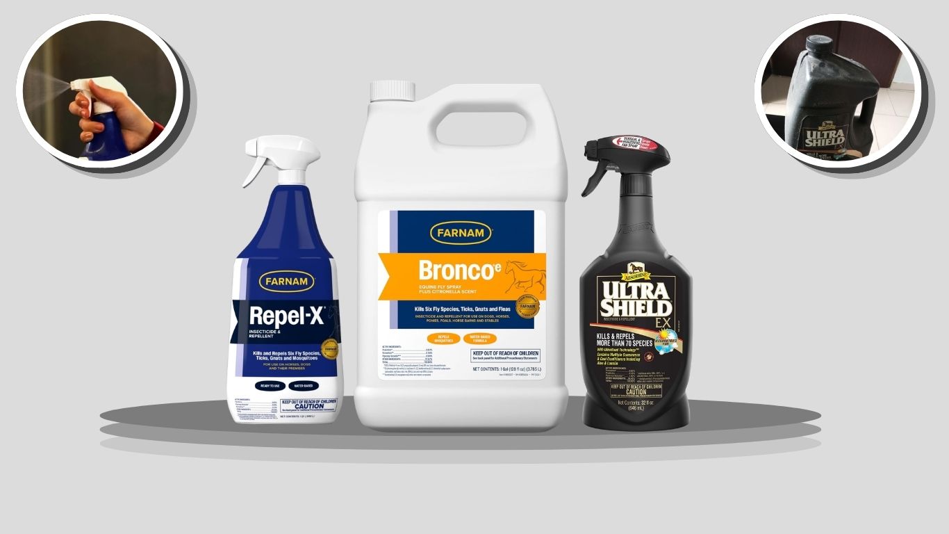 9 Best Horse Fly Sprays for Long-Lasting Protection
