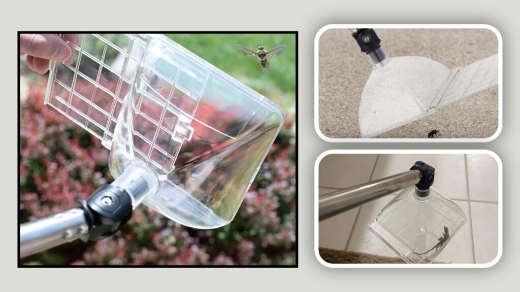 Bug Snatcher Extendable Bug Catcher Container