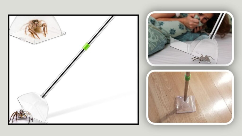 Saillong Long-Handle Spider and Bug Catcher