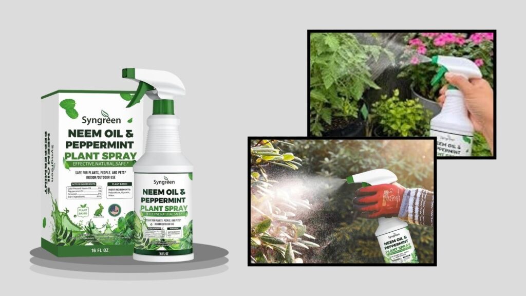 Neem Oil Spray for Plants with Peppermint