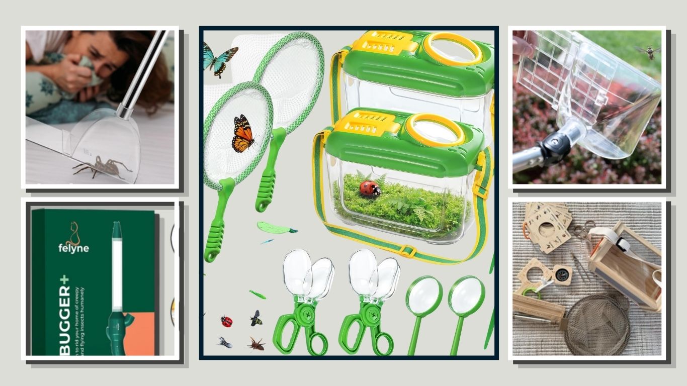 5 Best Bug Catchers for Safe and Easy Insect Removal