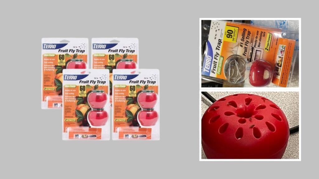 2. TERRO Fruit Fly Traps 8-Pack — Best for Several Indoor Problem Areas
