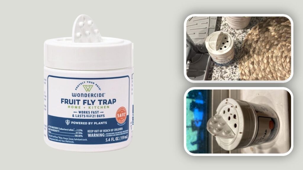 Wondercide Fruit Fly Trap for Indoors