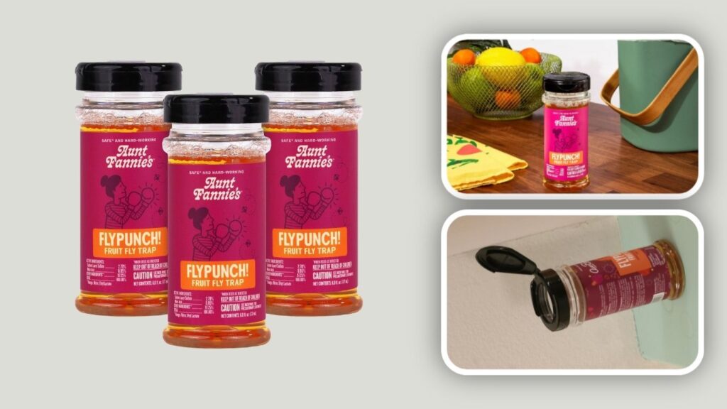 Aunt Fannie’s FlyPunch Fruit Fly Trap