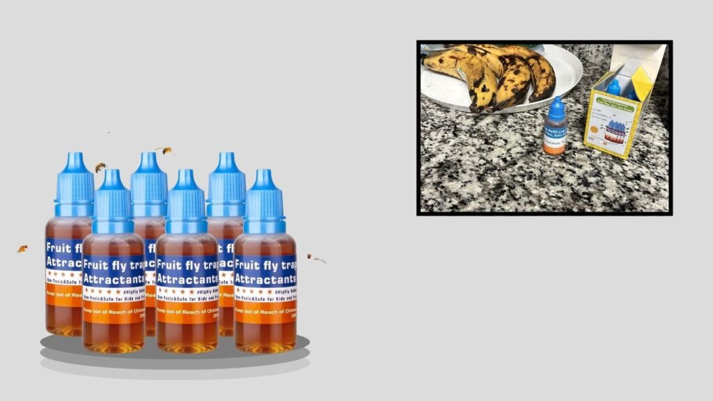  Fruit Fly Trap Refill Liquid Bait