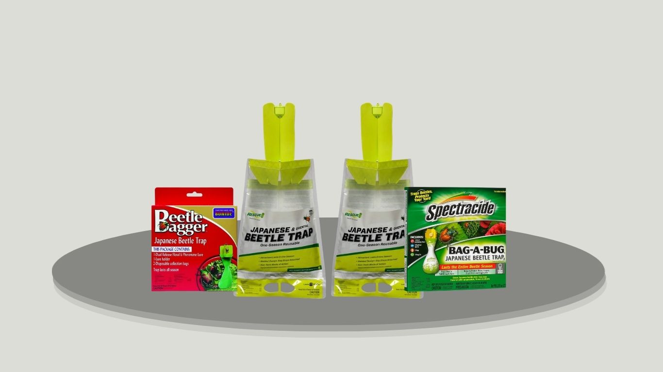 4 Best Beetle Bag Traps for Japanese Beetle Control