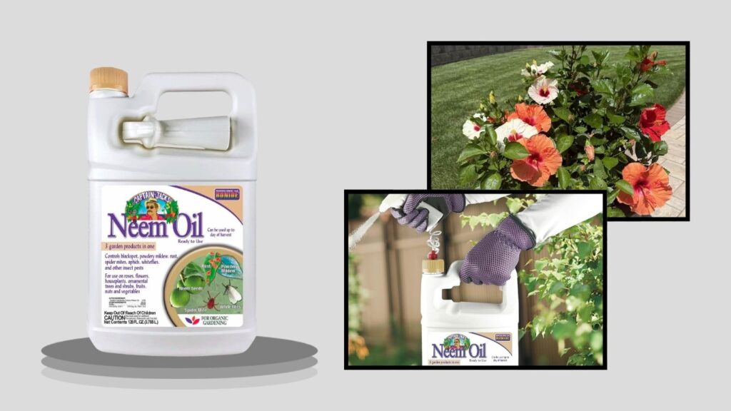  Bonide Multi-Purpose Neem Oil Fungicide & Insecticide