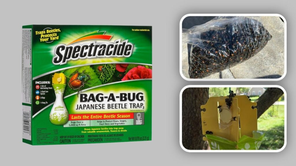 Spectracide Bag-A-Bug Japanese Beetle Trap
