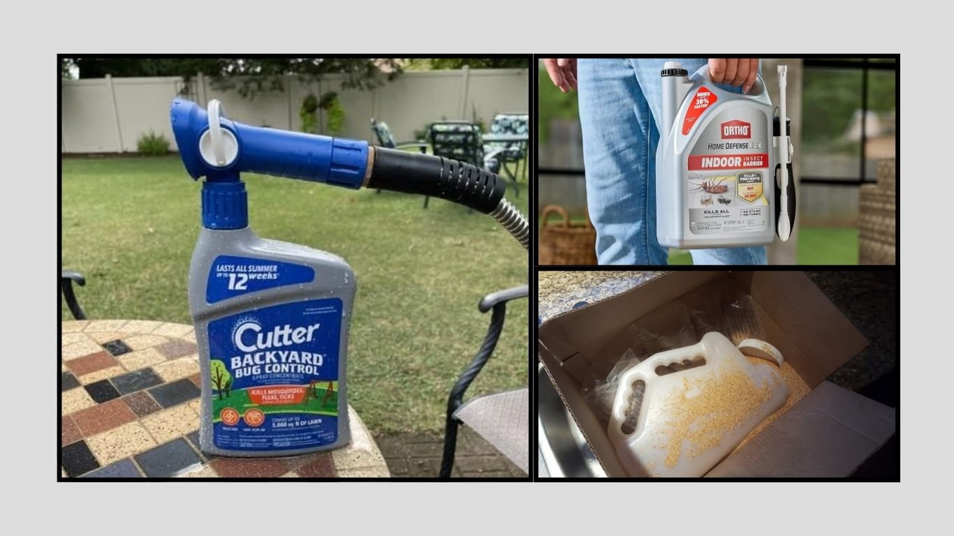 9 Best Insecticides for Earwigs: Effective Indoor & Outdoor Control