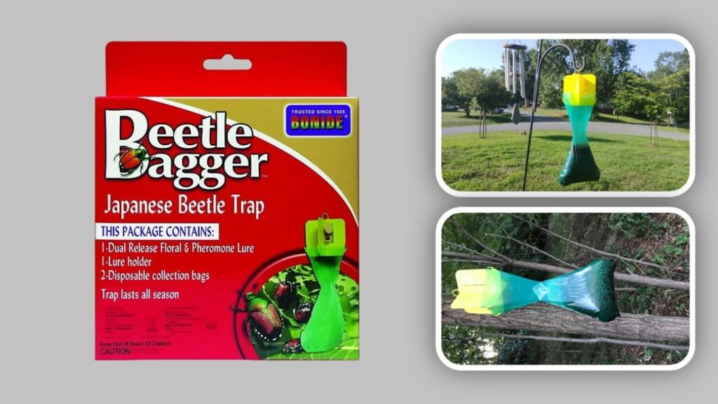  Bonide Japanese Beetle Trap