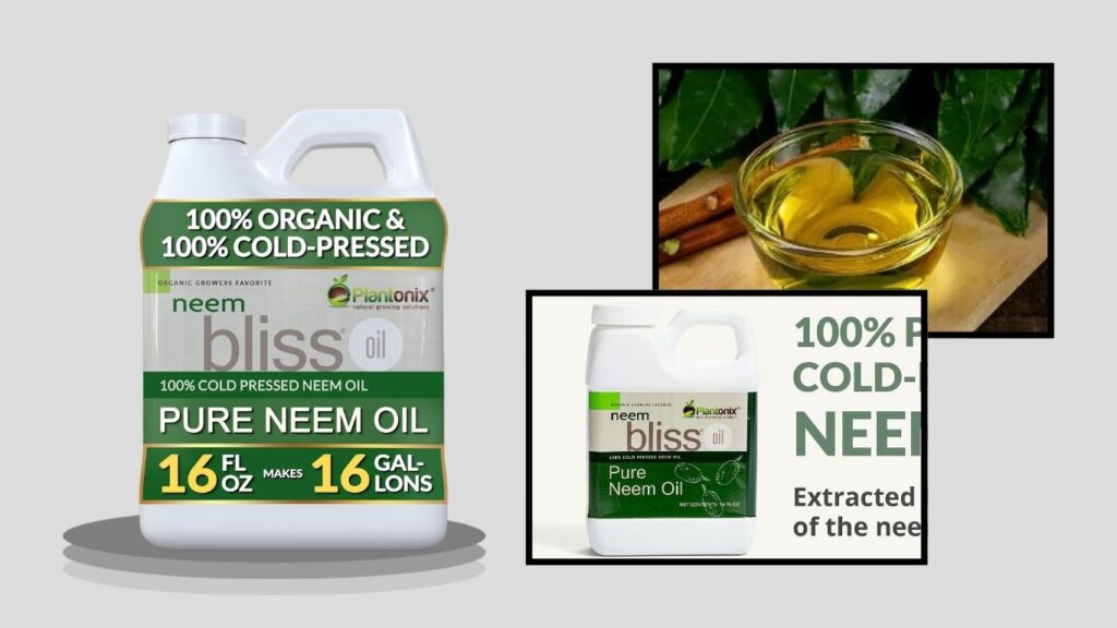  Neem Bliss Pure Cold-Pressed Neem Oil Concentrate