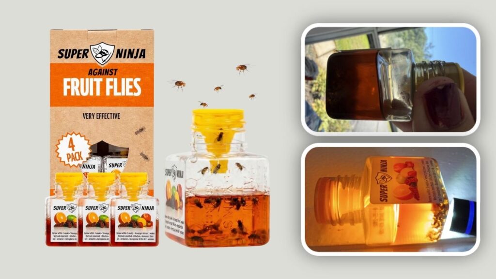 Super Ninja Fruit Fly Traps for Indoors