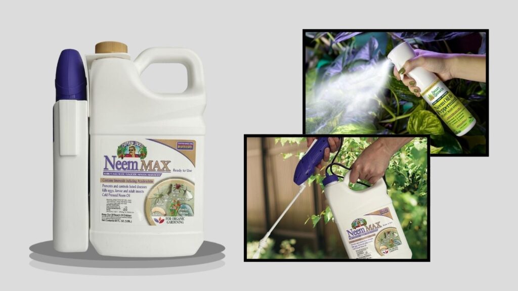 Bonide Captain Jack’s Cold-Pressed Neem Oil