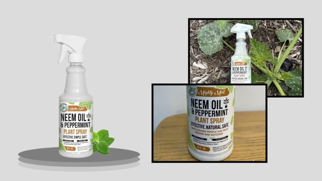 Cold-Pressed Neem Oil & Peppermint Plant Spray