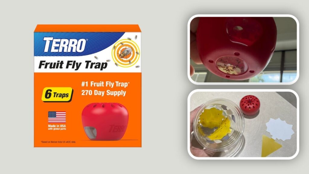 TERRO Fruit Fly Trap 6-Pack